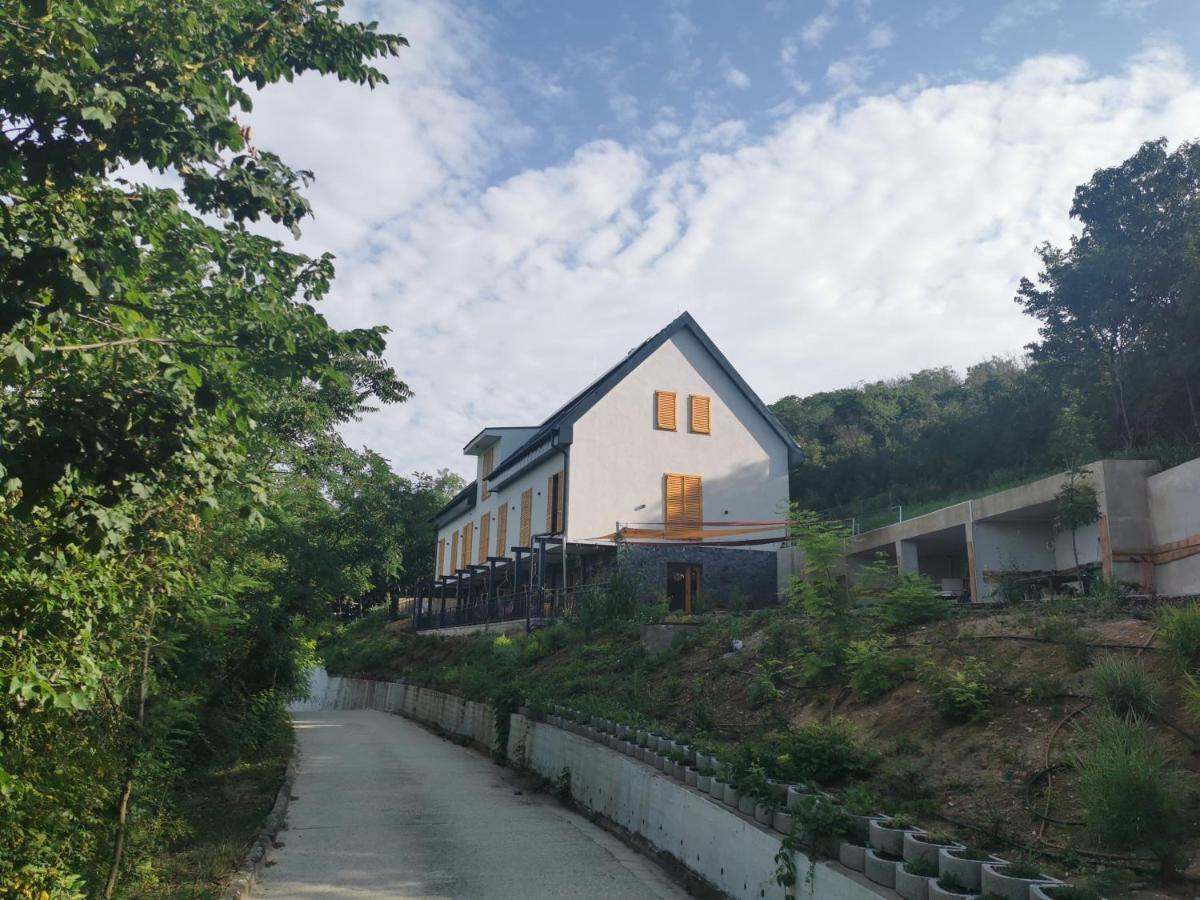 Hotel Illaberek Vendeghaz Sukoró Exterior foto